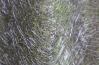 Seend Head fibreglass roof work